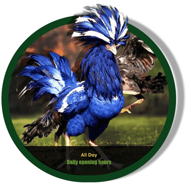 Online Cockfighting Rules